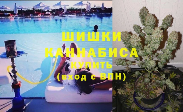 гашик Алексеевка