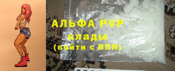 стафф Алексин