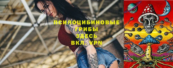 гашик Алексеевка
