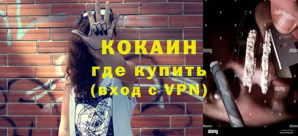 гашик Алексеевка