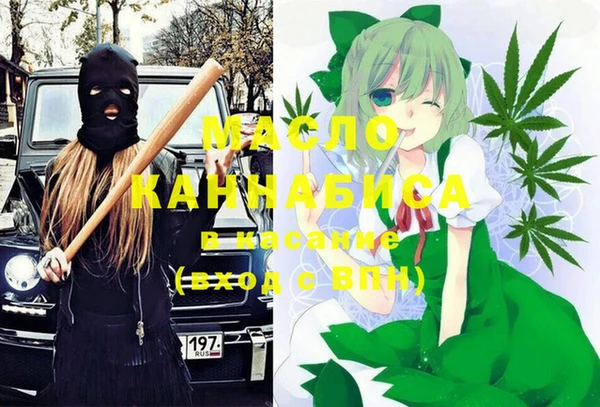 стафф Алексин