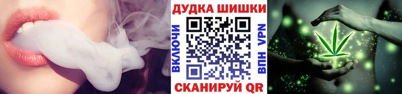 Бошки Шишки план Ядрин